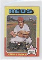 Johnny Bench