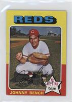 Johnny Bench