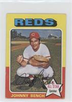 Johnny Bench