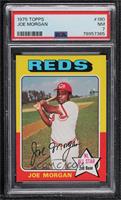 Joe Morgan [PSA 7 NM]