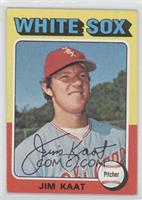 Jim Kaat