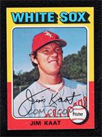 Jim Kaat [Poor to Fair]