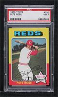 Pete Rose [PSA 7 NM]