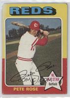 Pete Rose