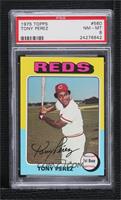 Tony Perez [PSA 8 NM‑MT]