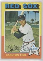 Carlton Fisk