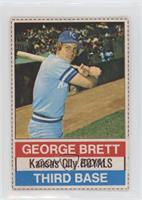 George Brett (Black Back)