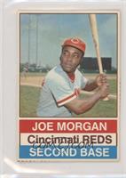 Joe Morgan