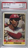 Tony Perez [PSA 8 NM‑MT (OC)]