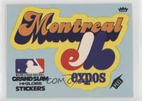 Montreal Expos Team (Blue Background)