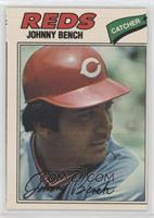 Johnny Bench