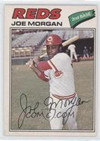 Joe Morgan