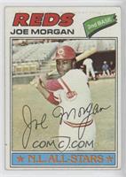 Joe Morgan