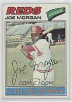 Joe Morgan