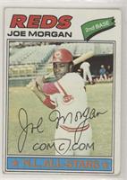 Joe Morgan