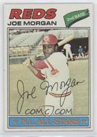 Joe Morgan