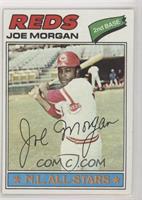 Joe Morgan