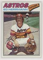 Ed Herrmann