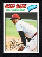 Carl Yastrzemski