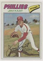 Jim Kaat