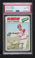 Tony Perez [PSA 8 NM‑MT]