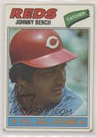 Johnny Bench