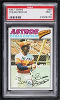 Cesar Cedeno [PSA 9 MINT]