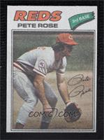 Pete Rose