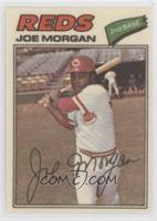 Joe Morgan (One Star at Back Bottom)