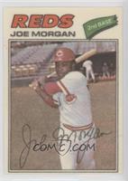 Joe Morgan (Two Stars at Back Bottom)