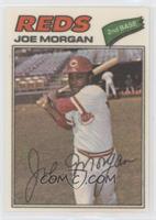 Joe Morgan (Two Stars at Back Bottom)