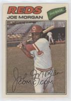 Joe Morgan (Two Stars at Back Bottom)