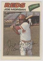 Joe Morgan (Two Stars at Back Bottom)