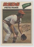 Pete Rose (One Star at Back Bottom)