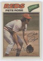 Pete Rose (One Star at Back Bottom)