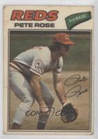 Pete Rose (One Star at Back Bottom) [Good to VG‑EX]