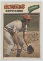 Pete Rose (One Star at Back Bottom)