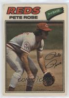 Pete Rose (Two Stars at Back Bottom)