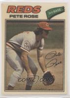 Pete Rose (Two Stars at Back Bottom)