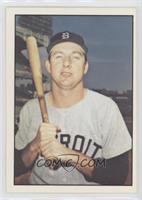 Al Kaline (No MLB Logo)