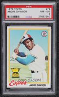 Andre Dawson [PSA 8 NM‑MT]