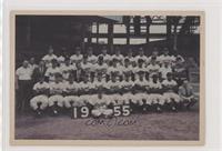 1955 Brooklyn Dodgers Team