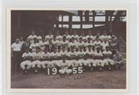 1955 Brooklyn Dodgers Team