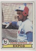 Andre Dawson [Good to VG‑EX]