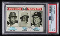 1979 Prospects - Pedro Guerrero, Rudy Law, Joe Simpson [PSA 7 NM]