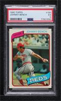 Johnny Bench [PSA 5 EX]