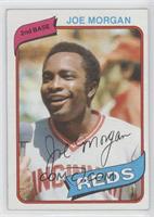 Joe Morgan