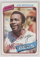 Joe Morgan