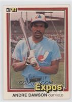 Andre Dawson