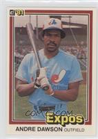 Andre Dawson